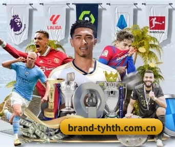 brand-tyhth.com.cn APP